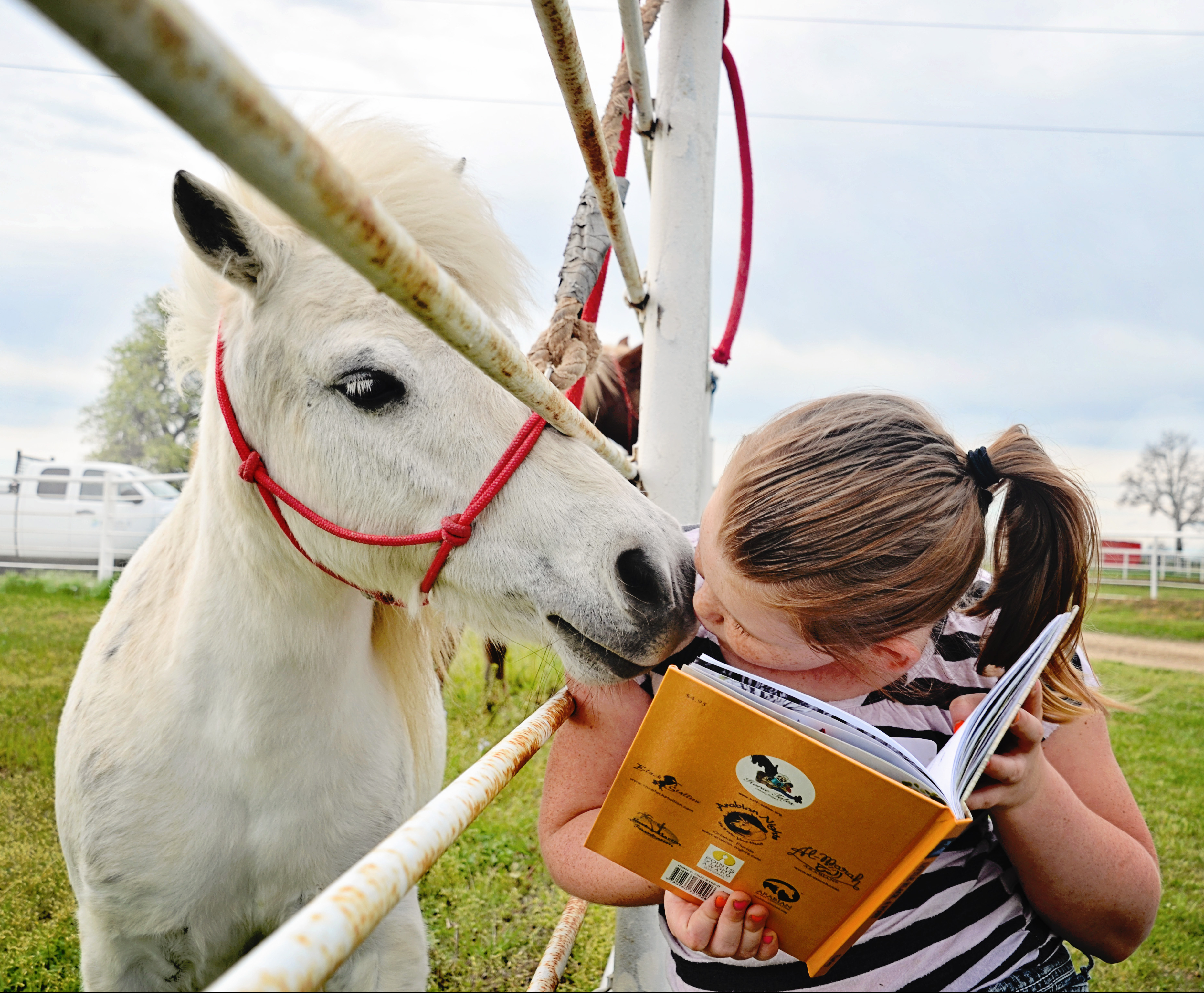 1st grade student reading a book and kissing mini white horse on the nose