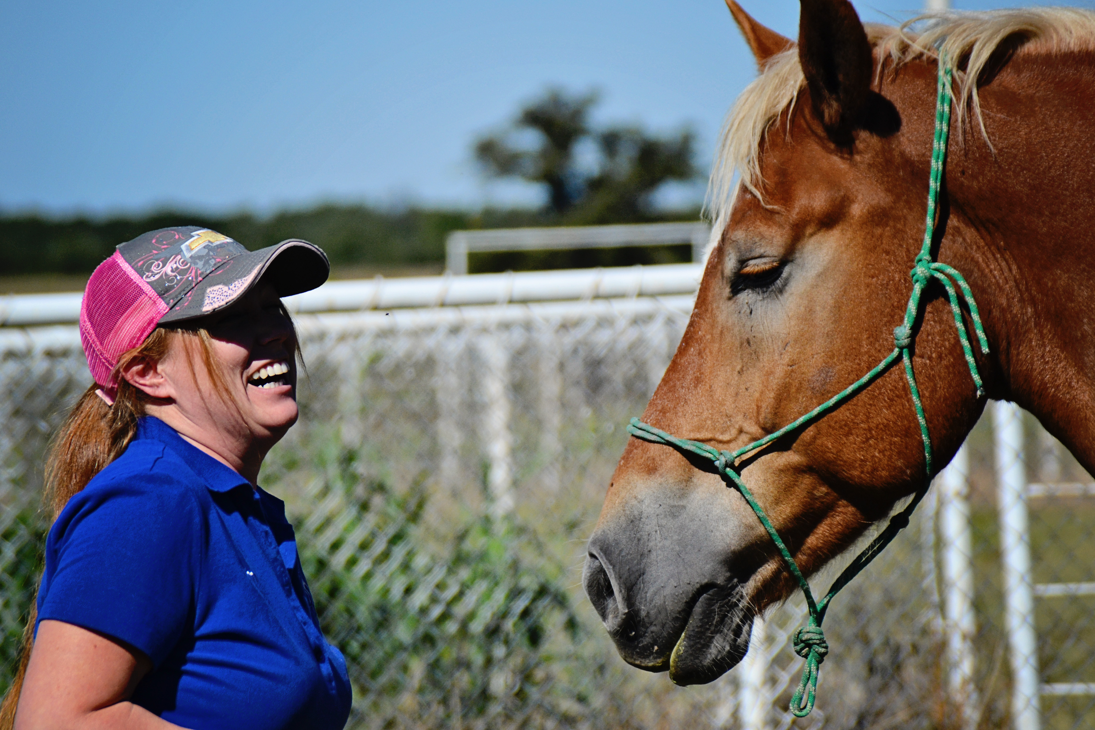 Hooves on the GroundThe Right Path
